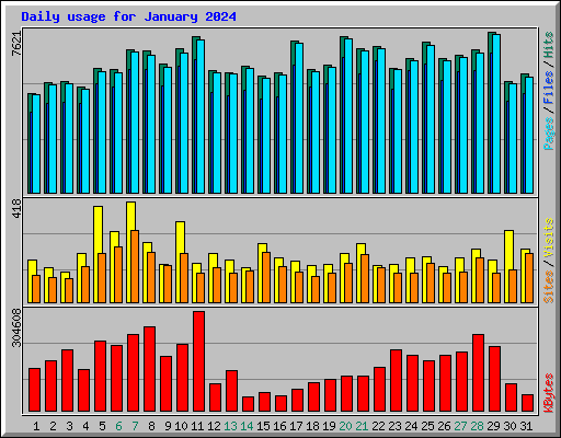 Daily usage for January 2024