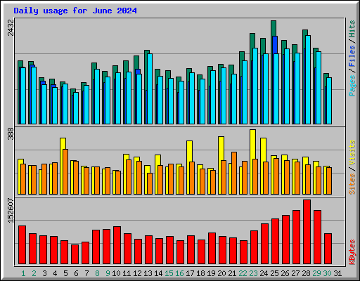 Daily usage for June 2024