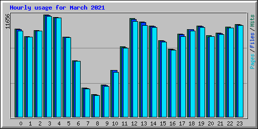 Hourly usage for March 2021