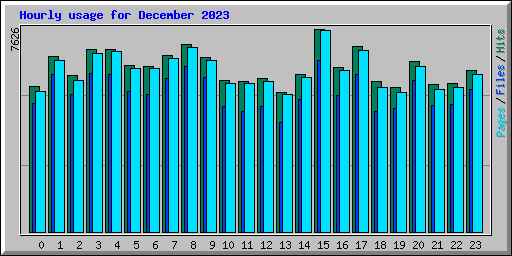 Hourly usage for December 2023