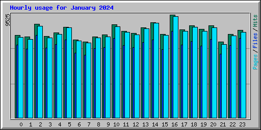 Hourly usage for January 2024