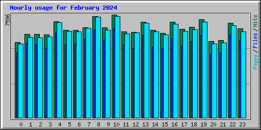 Hourly usage for February 2024