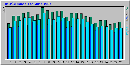 Hourly usage for June 2024