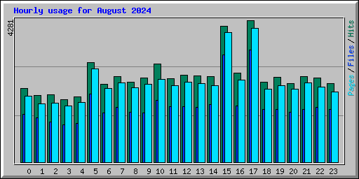 Hourly usage for August 2024