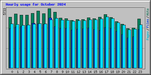 Hourly usage for October 2024