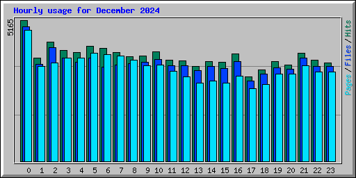 Hourly usage for December 2024