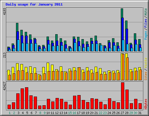 Daily usage for January 2011