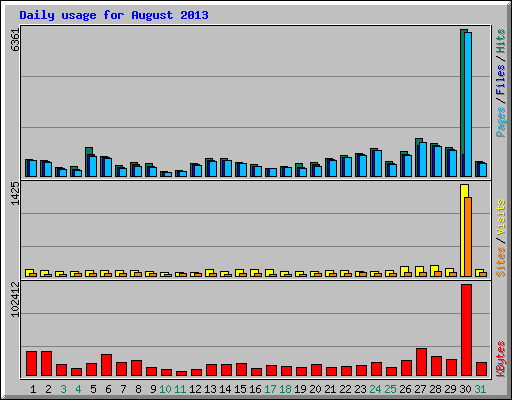 Daily usage for August 2013