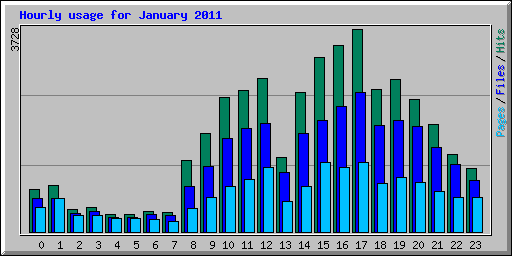 Hourly usage for January 2011