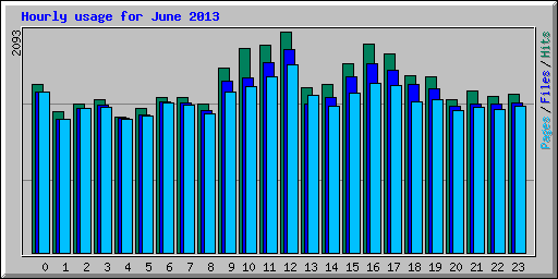 Hourly usage for June 2013