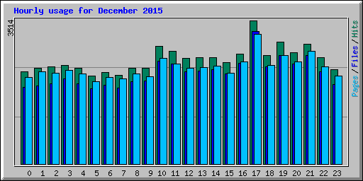 Hourly usage for December 2015