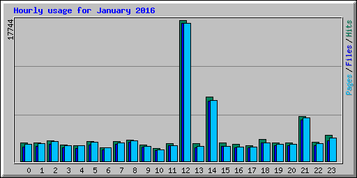 Hourly usage for January 2016