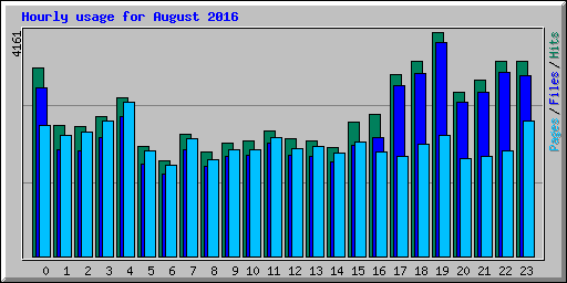 Hourly usage for August 2016