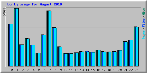 Hourly usage for August 2019