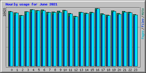 Hourly usage for June 2021