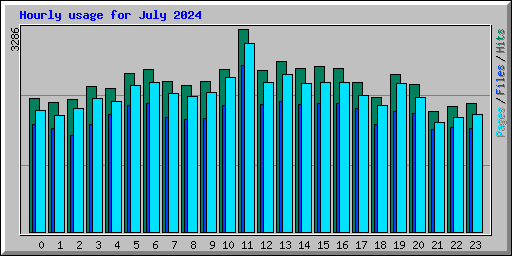 Hourly usage for July 2024