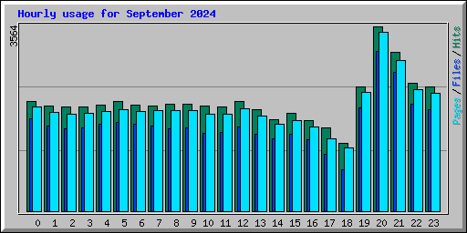 Hourly usage for September 2024