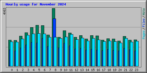 Hourly usage for November 2024