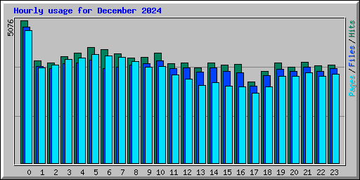 Hourly usage for December 2024